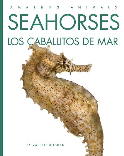 Cover image for Seahorses / Los Caballitos de Mar
