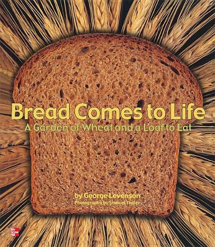 Cover image for Reading Wonders Literature Big Book: Bread Comes to Life Grade K