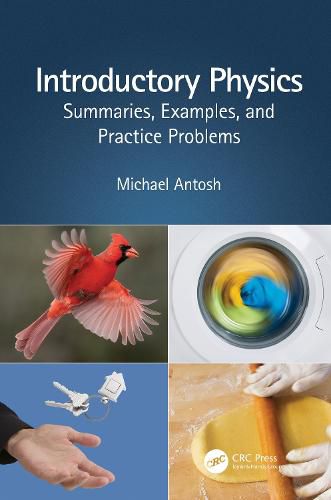 Cover image for Introductory Physics: Summaries, Examples, and Practice Problems