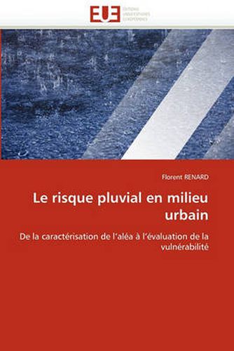 Cover image for Le Risque Pluvial En Milieu Urbain