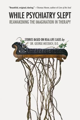 Cover image for While Psychiatry Slept: Reawakening the Imagination in Therapy