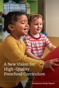 Cover image for A New Vision for High-Quality Preschool Curriculum