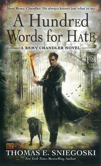Cover image for A Hundred Words For Hate: A Remy Chandler Novel