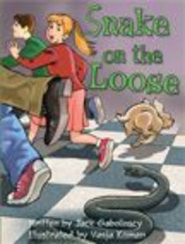 Cover image for Springboard into Comprehension Level 6 Snake On The Loose