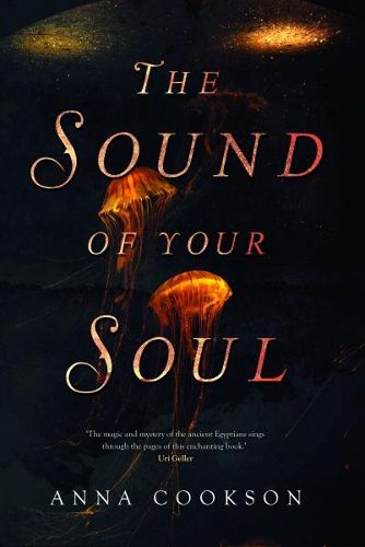 Cover image for The Sound of Your Soul