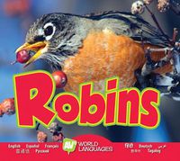 Cover image for Robins