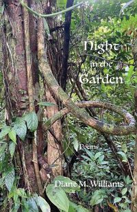 Cover image for Night in the Garden