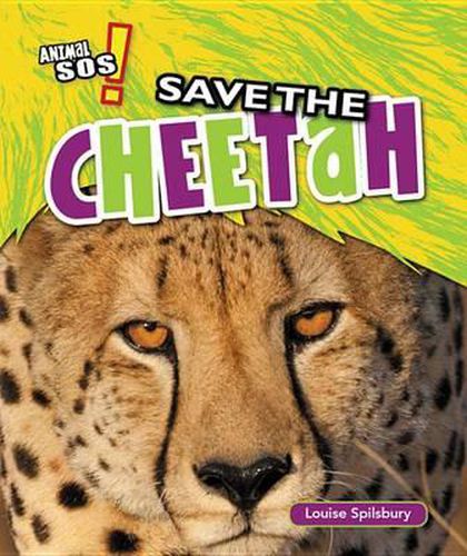 Save the Cheetah