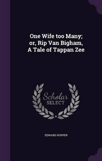 Cover image for One Wife Too Many; Or, Rip Van Bigham, a Tale of Tappan Zee