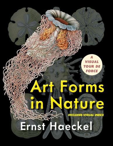 Cover image for Art Forms in Nature (Dover Pictorial Archive)