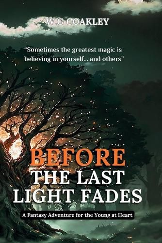 Cover image for Before the Last Light Fades