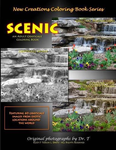 Cover image for New Creations Coloring Book Series: Scenic