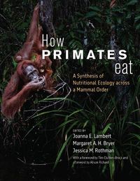 Cover image for How Primates Eat
