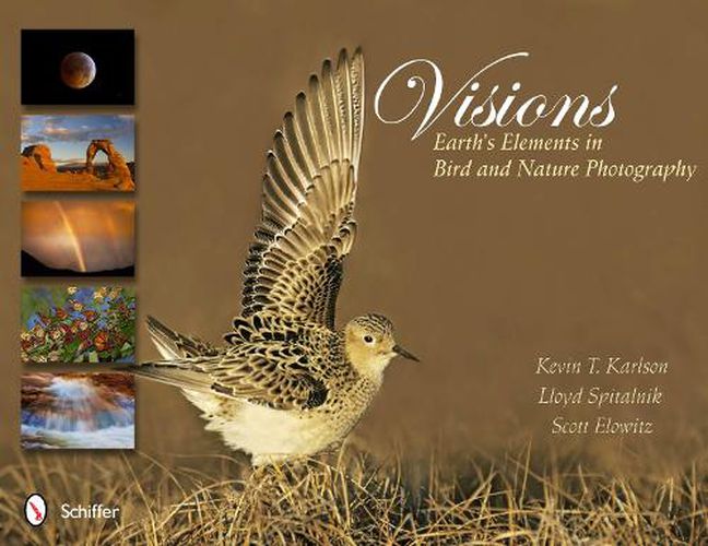 Cover image for Visions: Earth's Elements in Bird and Nature Photography