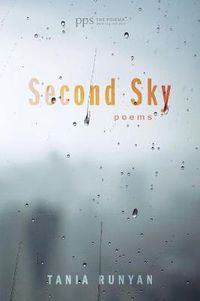 Cover image for Second Sky