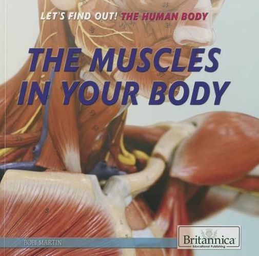 Cover image for The Muscles in Your Body