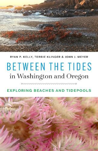 Cover image for Between the Tides in Washington and Oregon: Exploring Beaches and Tidepools