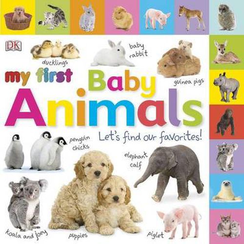 Cover image for Tabbed Board Books: My First Baby Animals: Let's Find Our Favorites!