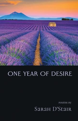 Cover image for One Year of Desire