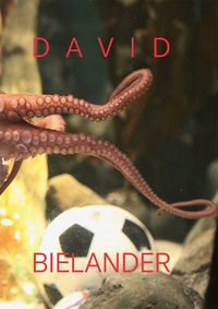 Cover image for David Bielander: Twenty Years. 2016-1996