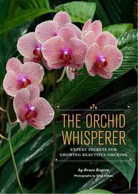 Cover image for The Orchid Whisperer