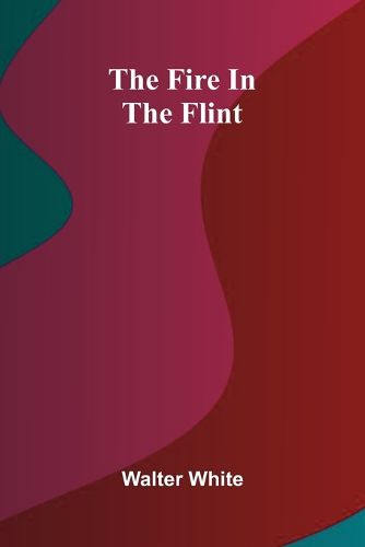Cover image for The fool of the family (Edition1)