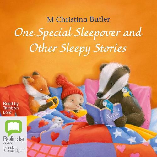 One Special Sleepover