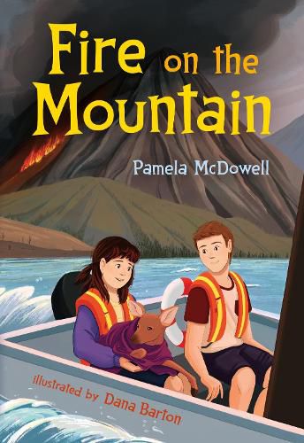 Cover image for Fire on the Mountain