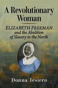 Cover image for A Revolutionary Woman