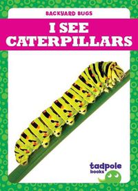 Cover image for I See Caterpillars