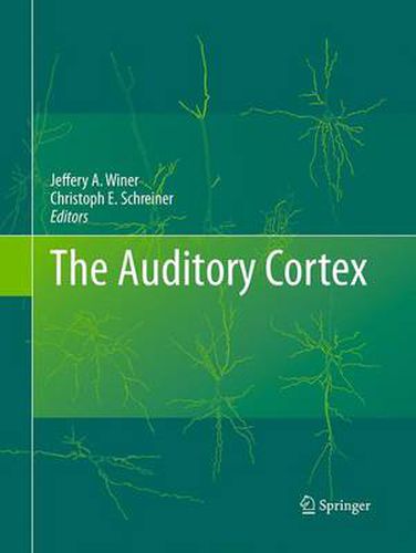 Cover image for The Auditory Cortex