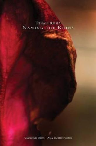 Cover image for Naming the Ruins