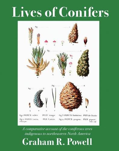 Cover image for Lives of Conifers: A Comparative Account of the Coniferous Trees Indigenous to Northeastern North America