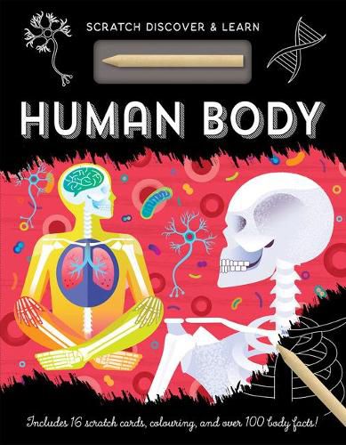 Cover image for Human Body