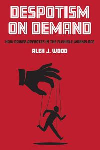 Cover image for Despotism on Demand: How Power Operates in the Flexible Workplace