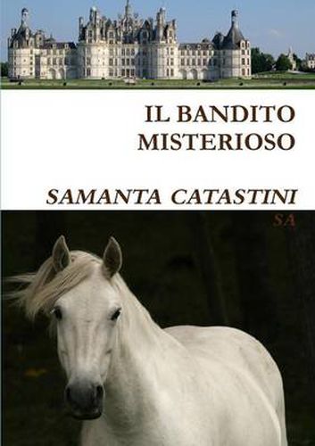 Cover image for IL Bandito Misterioso