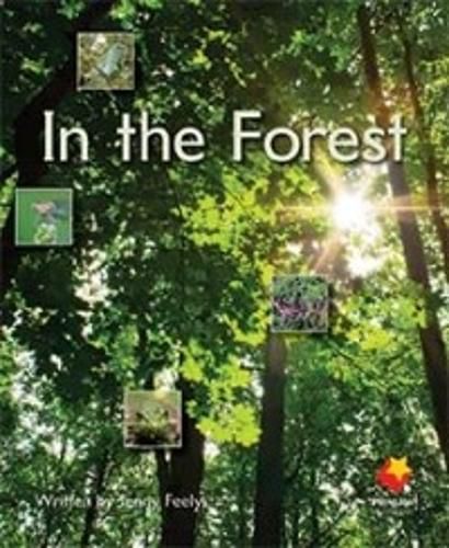 Cover image for In the Forest