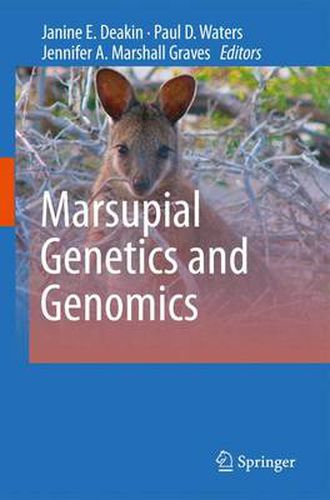 Cover image for Marsupial Genetics and Genomics