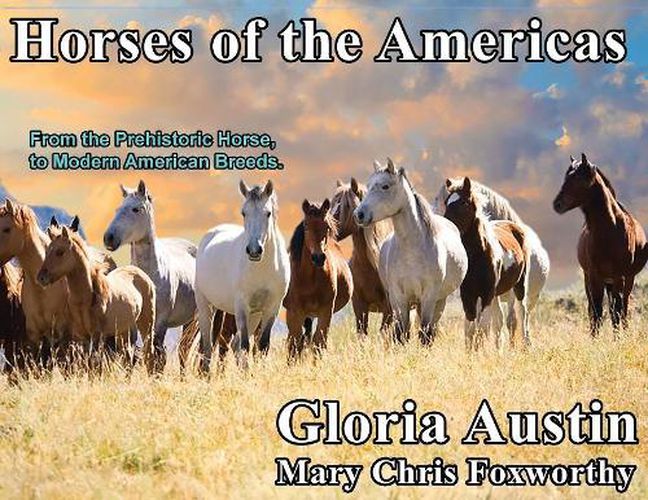 Cover image for Horses of the Americas: From the prehistoric horse to modern American breeds.