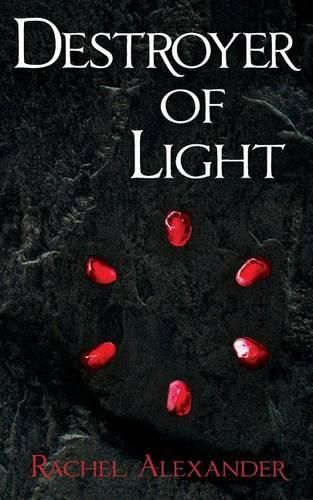 Cover image for Destroyer of Light