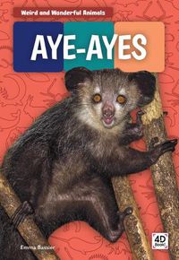 Cover image for Aye-Ayes