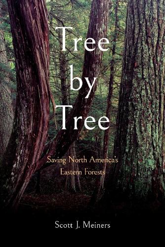 Cover image for Tree by Tree