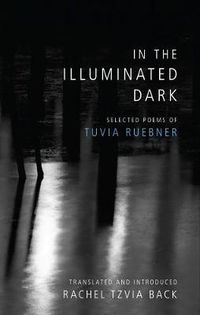 Cover image for In the Illuminated Dark: Selected Poems of Tuvia Ruebner