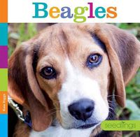 Cover image for Beagles