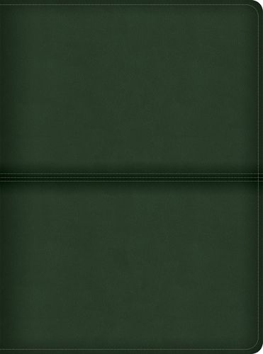 CSB Men's Daily Bible, Olive Leathertouch, Indexed