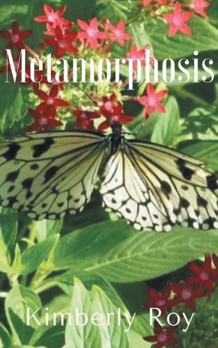 Cover image for Metamorphosis