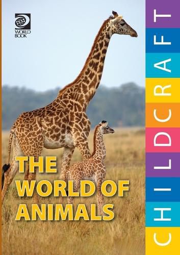 Cover image for The World of Animals