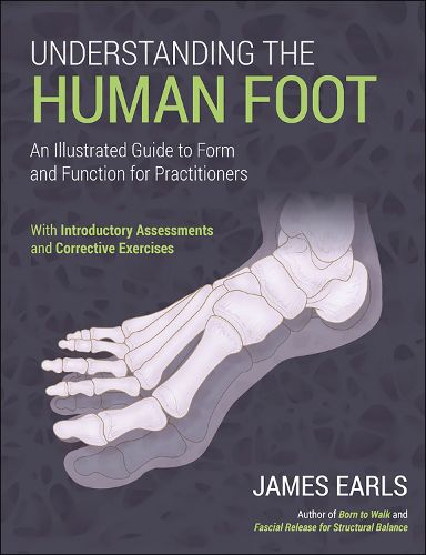 Cover image for Understanding the Human Foot