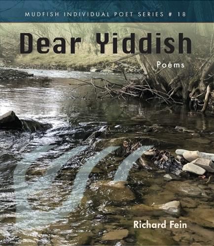 Cover image for Dear Yiddish