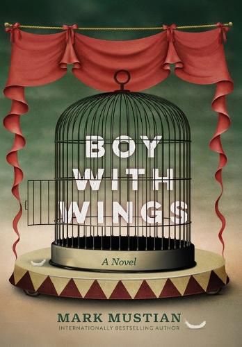 Cover image for Boy With Wings